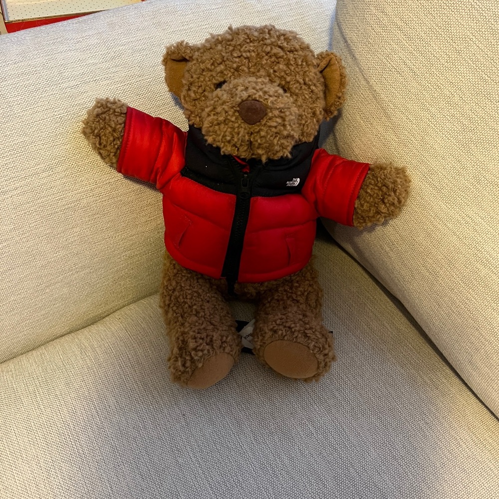North face Teddy